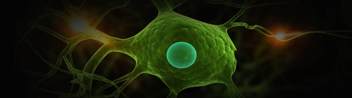 Neurologi undervisning