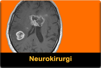 Neuro onkologi